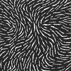 مدلDISPERSION