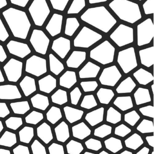 مدلPOLYGON