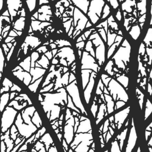 مدلTREES